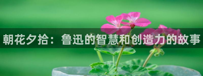 喵趣漫画官网网址