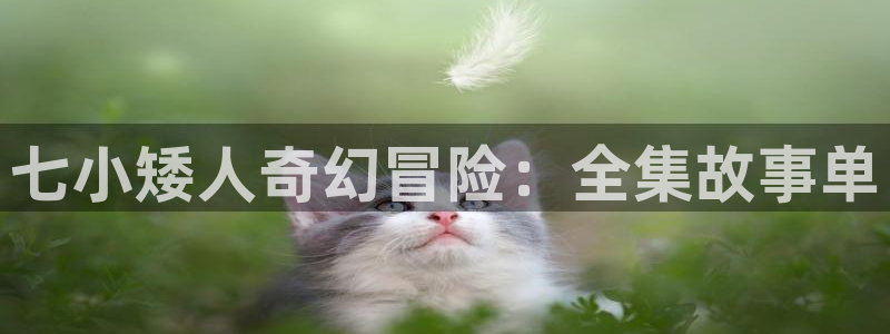 www.喵趣·top