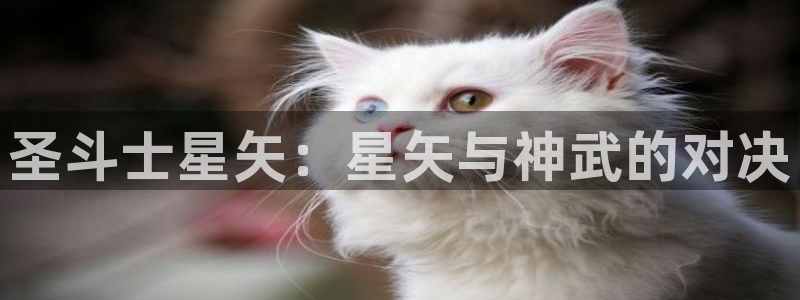喵趣下载