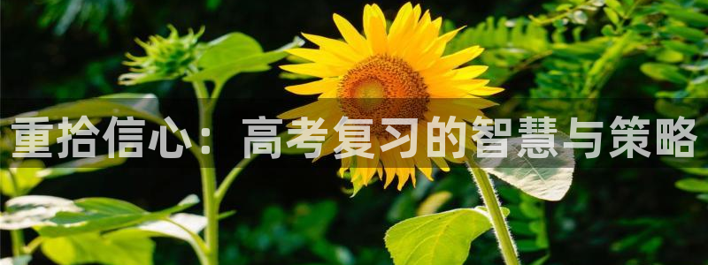 喵趣漫画官方下载