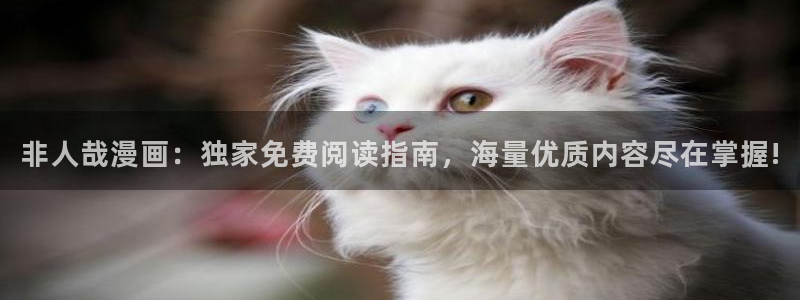 喵趣漫画正版在线下载