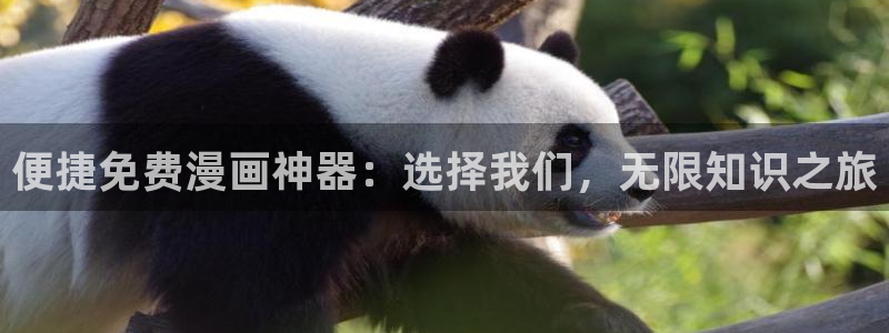 喵趣漫画app下载小说免费