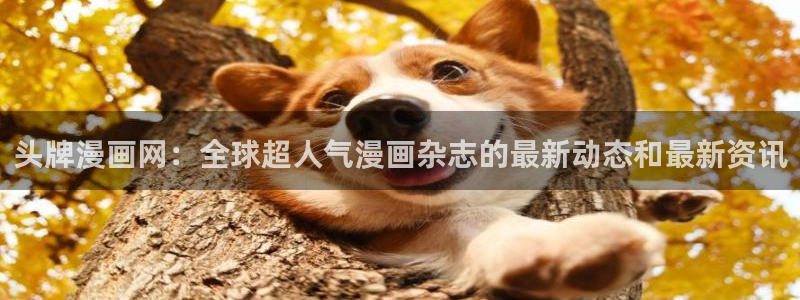 喵趣漫蛙