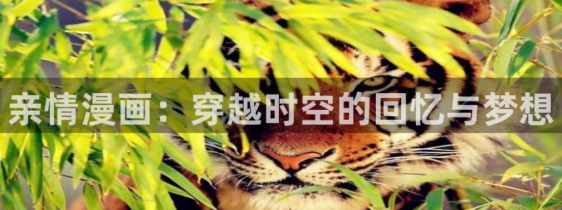 喵趣漫画看不了了