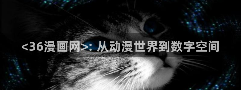 喵趣网页