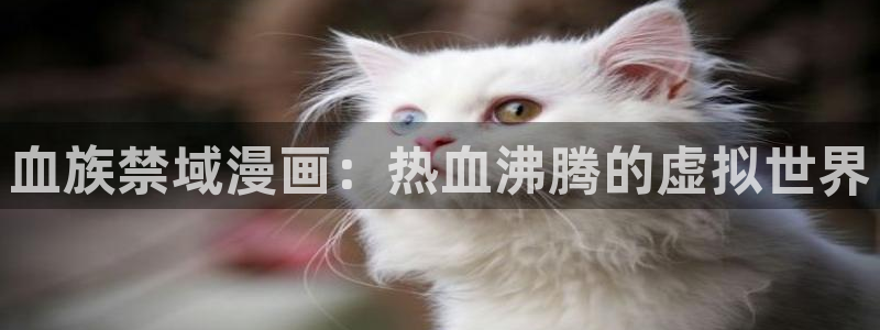 喵趣漫画用不了