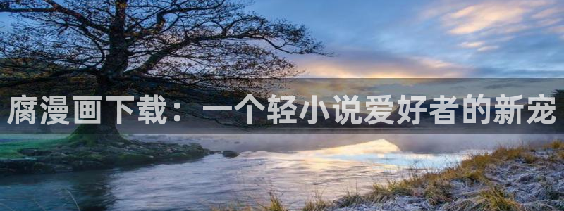 喵趣纯净版