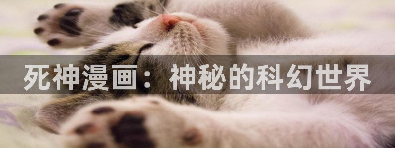 喵趣漫画官网入口免费阅读