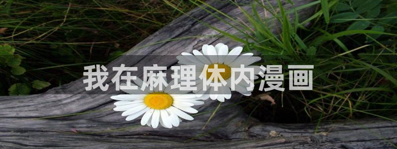 喵趣漫画下载下载