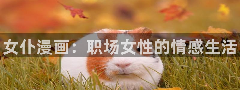 喵趣漫画ios怎么下载：女仆漫画：职场女性的情感生活