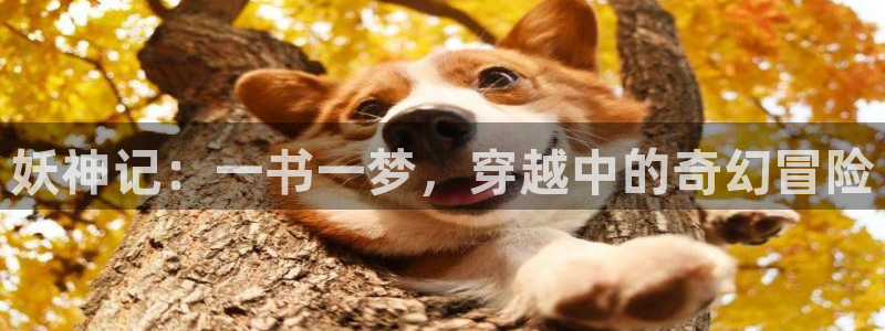 喵趣漫画官网版正版：妖神记：一书一梦，穿越中的奇幻冒险
