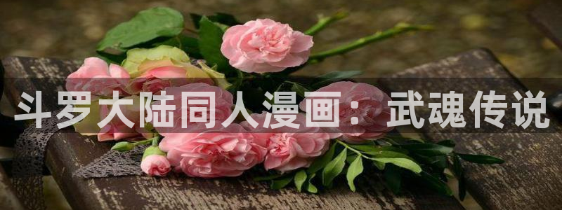 喵趣漫画下载入口在哪：斗罗大陆同人漫画：武魂传说