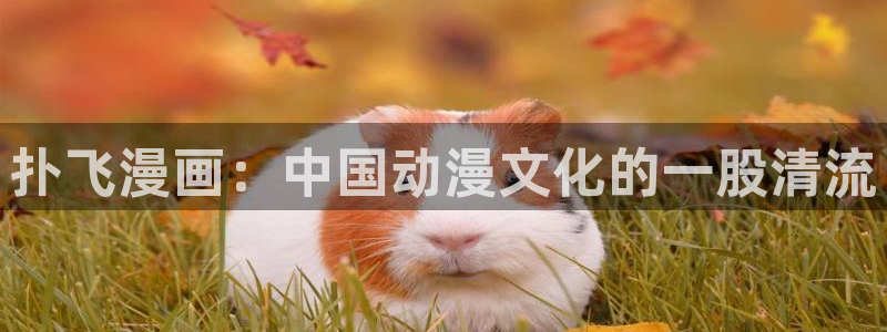 www.喵趣.top：扑飞漫画：中国动漫文化的一股清流