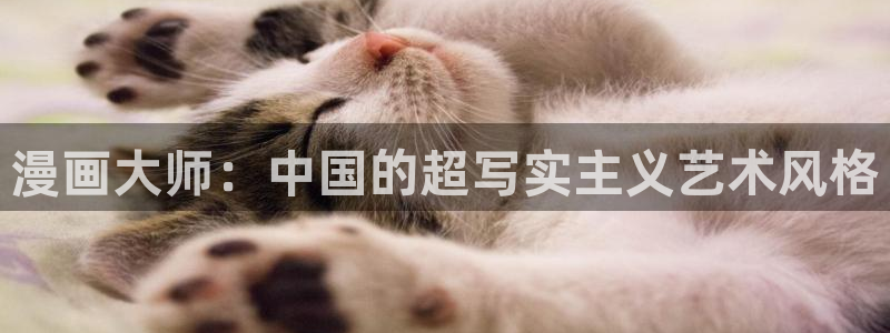 喵趣漫画为什么用不了了：漫画大师：中国的超写实主义艺术风格