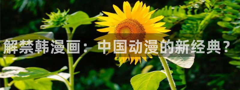 喵趣漫画app下载小说免费：解禁韩漫画：中国动漫的新经典？