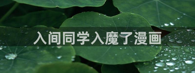 喵趣包