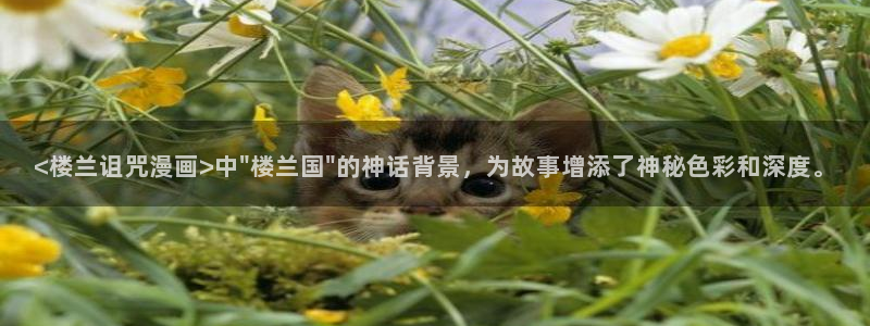 喵趣漫画网免费阅读在线观看