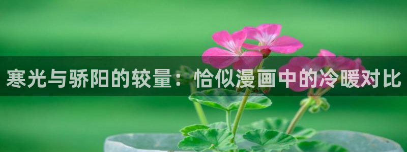 喵趣漫画苹果版