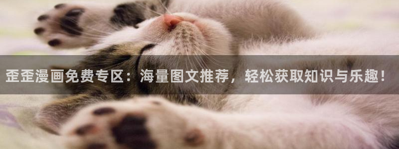 喵趣动漫安装