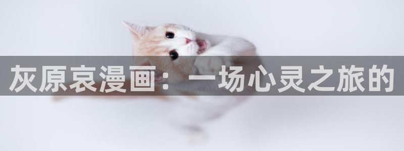 喵趣屋