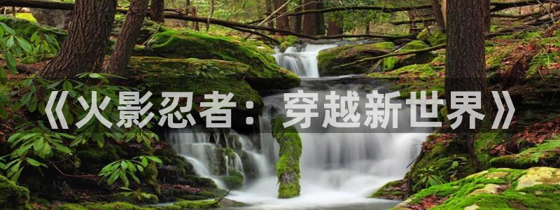 下载喵趣：《火影忍者：穿越新世界》