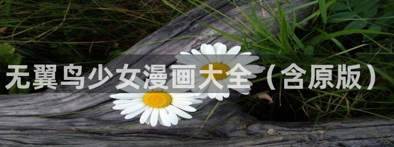 喵趣漫画在线观看