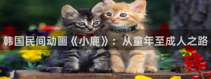 下载喵趣