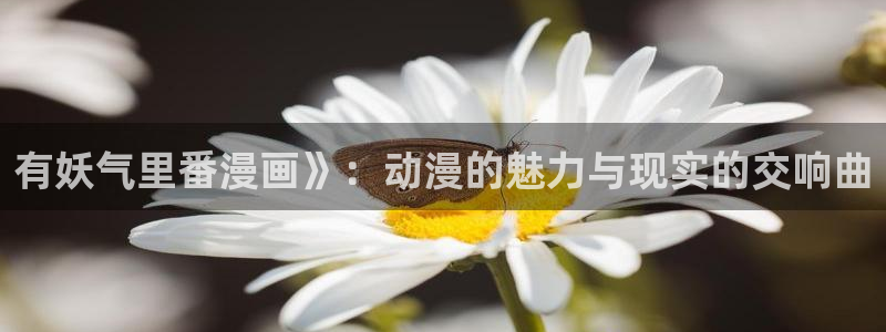 喵趣漫画新版本
