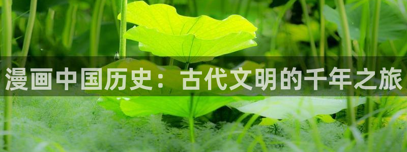 www.喵趣.com.
